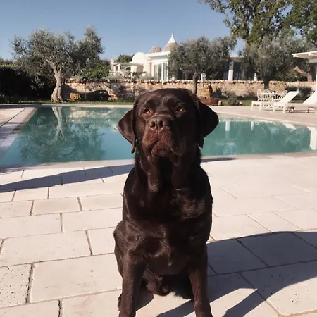 Il Trullo Di Ben *