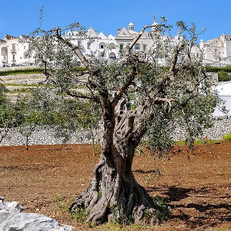 Il Trullo Di Ben Holiday home *